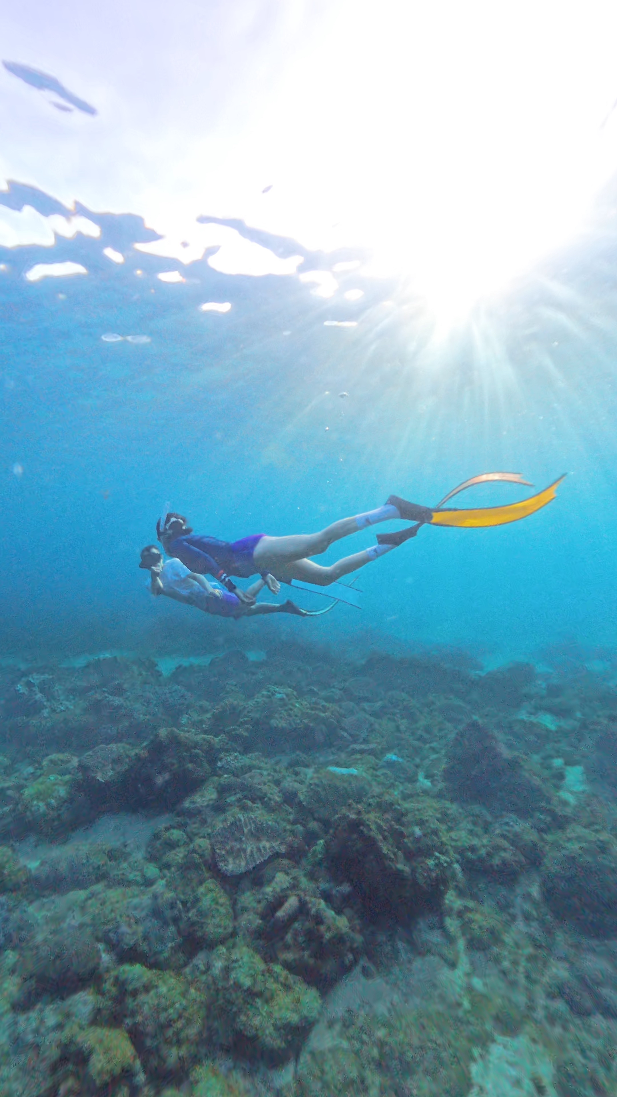 Hơi Thở Tình Nhân